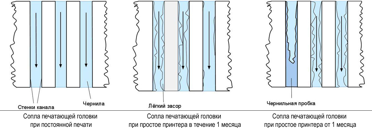 Поведение печатающей головки при простое принтера