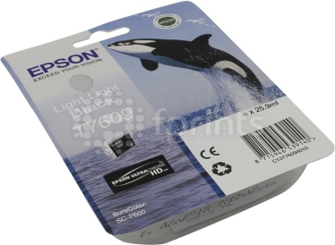 Картридж Epson C13T76094010 Light Light Black