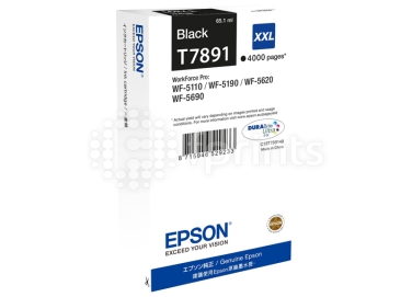 Картридж Epson C13T789140 Black